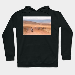 Ngorogoro Zebra #2 Hoodie